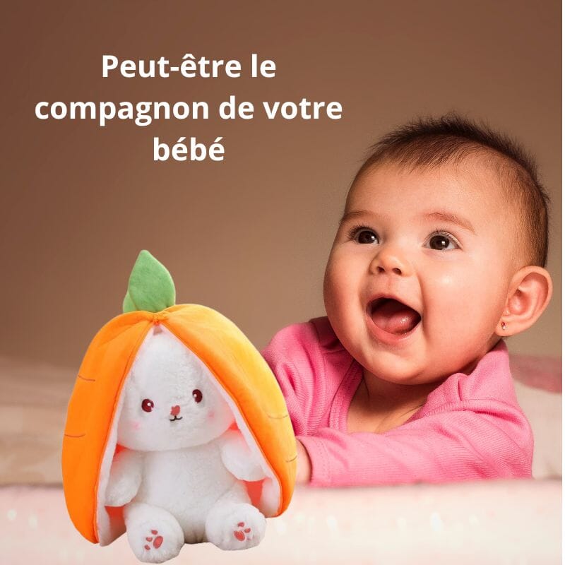 jouet-bebe-compagnon