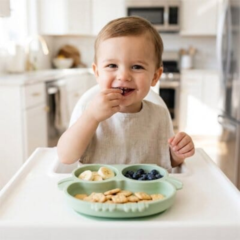 Assiette ventouse bebe trois sections séparées