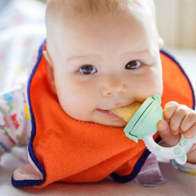 Grignoteuse bébé Sécurisée-SécuriMiam conception étanche